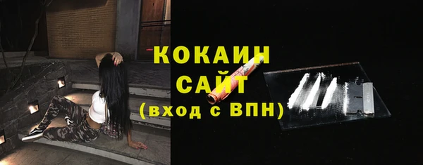 ГАЛЛЮЦИНОГЕННЫЕ ГРИБЫ Касимов