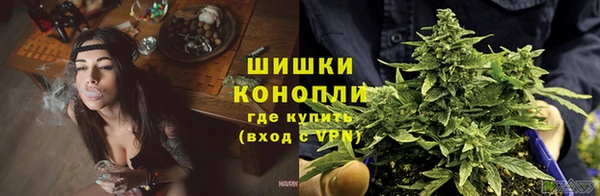 ГАЛЛЮЦИНОГЕННЫЕ ГРИБЫ Касимов